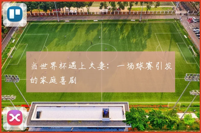 当世界杯遇上夫妻：一场球赛引发的家庭喜剧