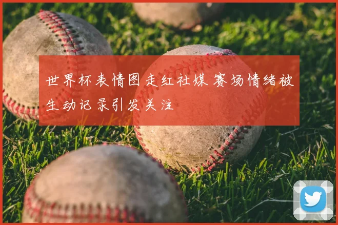 世界杯表情图走红社媒 赛场情绪被生动记录引发关注
