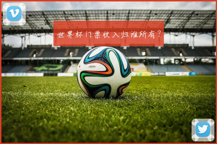 世界杯门票收入归谁所有?