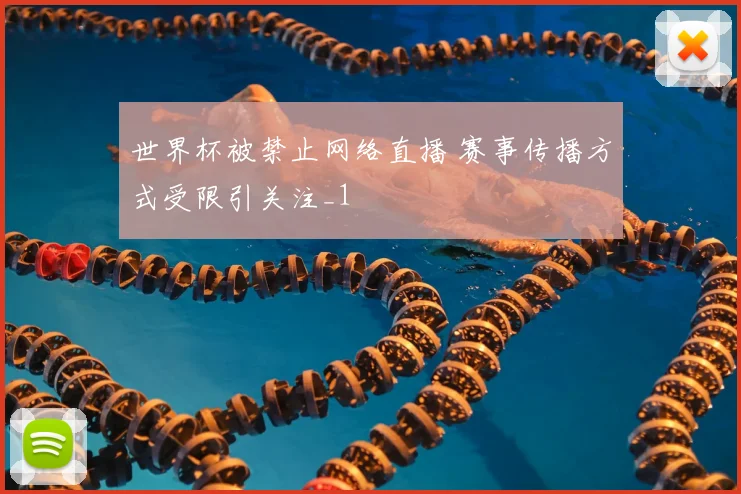 世界杯被禁止网络直播 赛事传播方式受限引关注_1