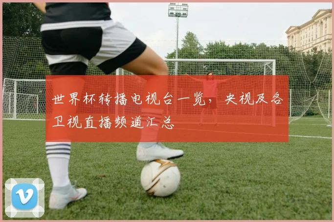 世界杯转播电视台一览,央视及各卫视直播频道汇总