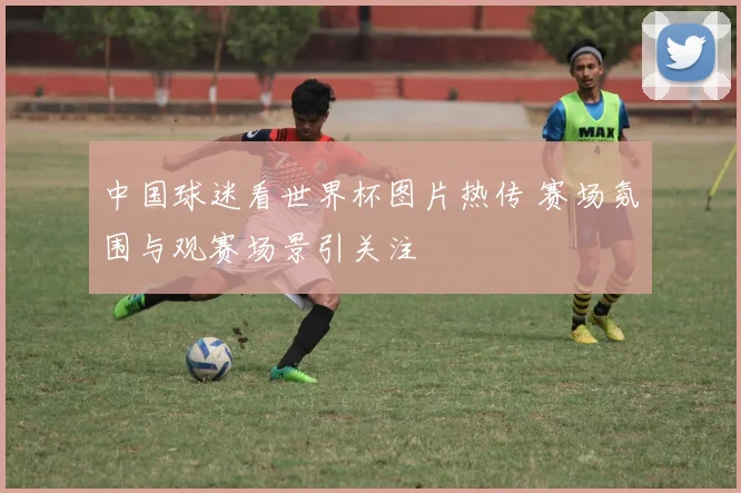 中国球迷看世界杯图片热传 赛场氛围与观赛场景引关注