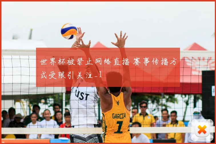 世界杯被禁止网络直播 赛事传播方式受限引关注_1