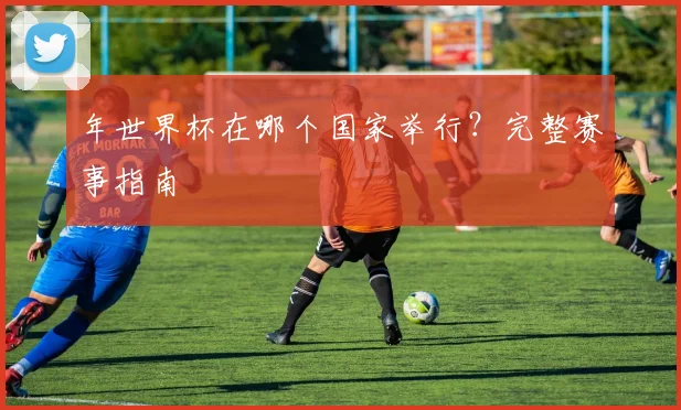 年世界杯在哪个国家举行？完整赛事指南