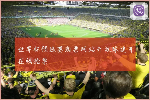 世界杯预选赛购票网站开放球迷可在线抢票