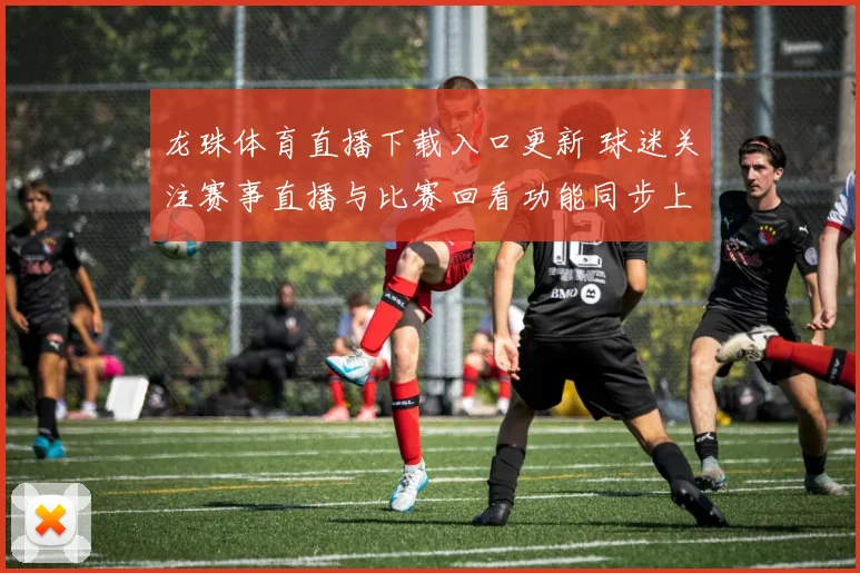 龙珠体育直播下载入口更新 球迷关注赛事直播与比赛回看功能同步上线