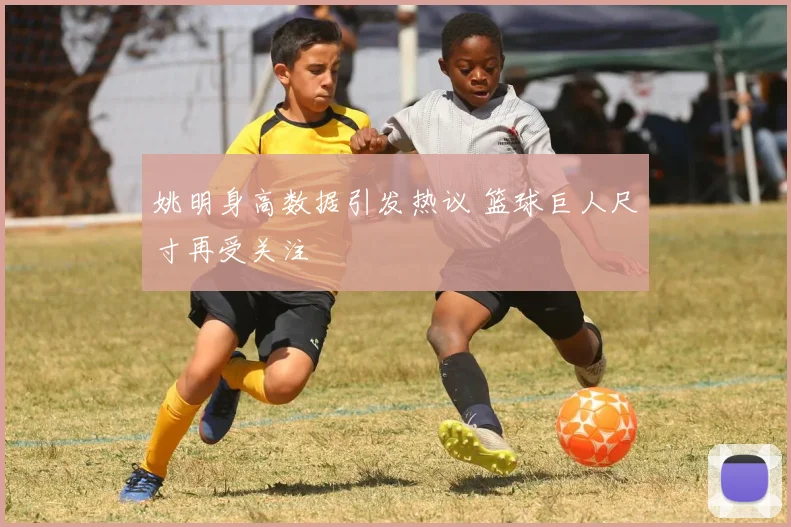 姚明身高数据引发热议 篮球巨人尺寸再受关注