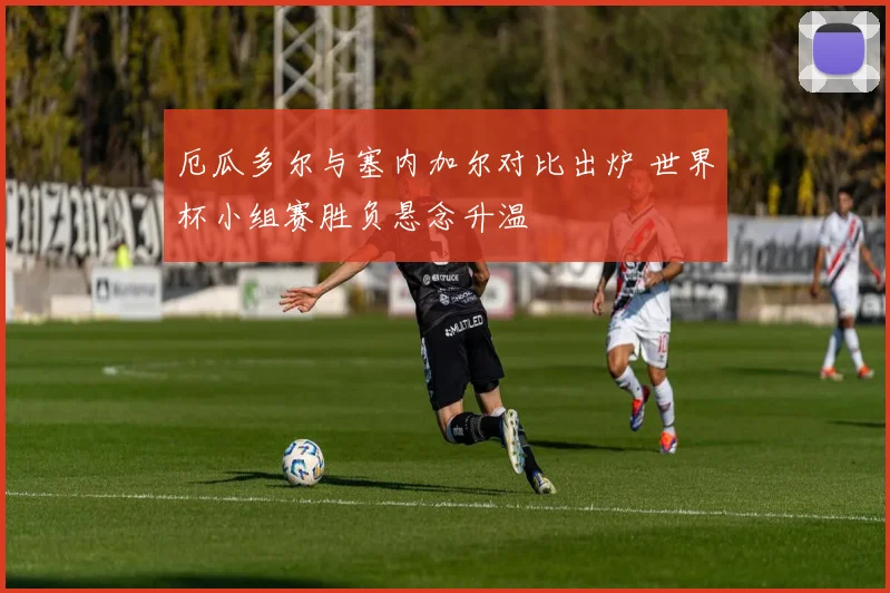 厄瓜多尔与塞内加尔对比出炉 世界杯小组赛胜负悬念升温
