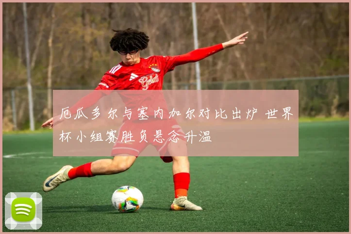 厄瓜多尔与塞内加尔对比出炉 世界杯小组赛胜负悬念升温