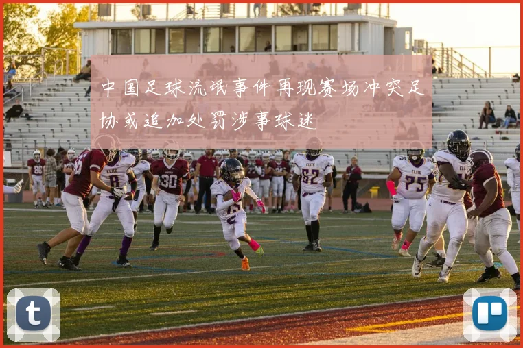 中国足球流氓事件再现赛场冲突足协或追加处罚涉事球迷